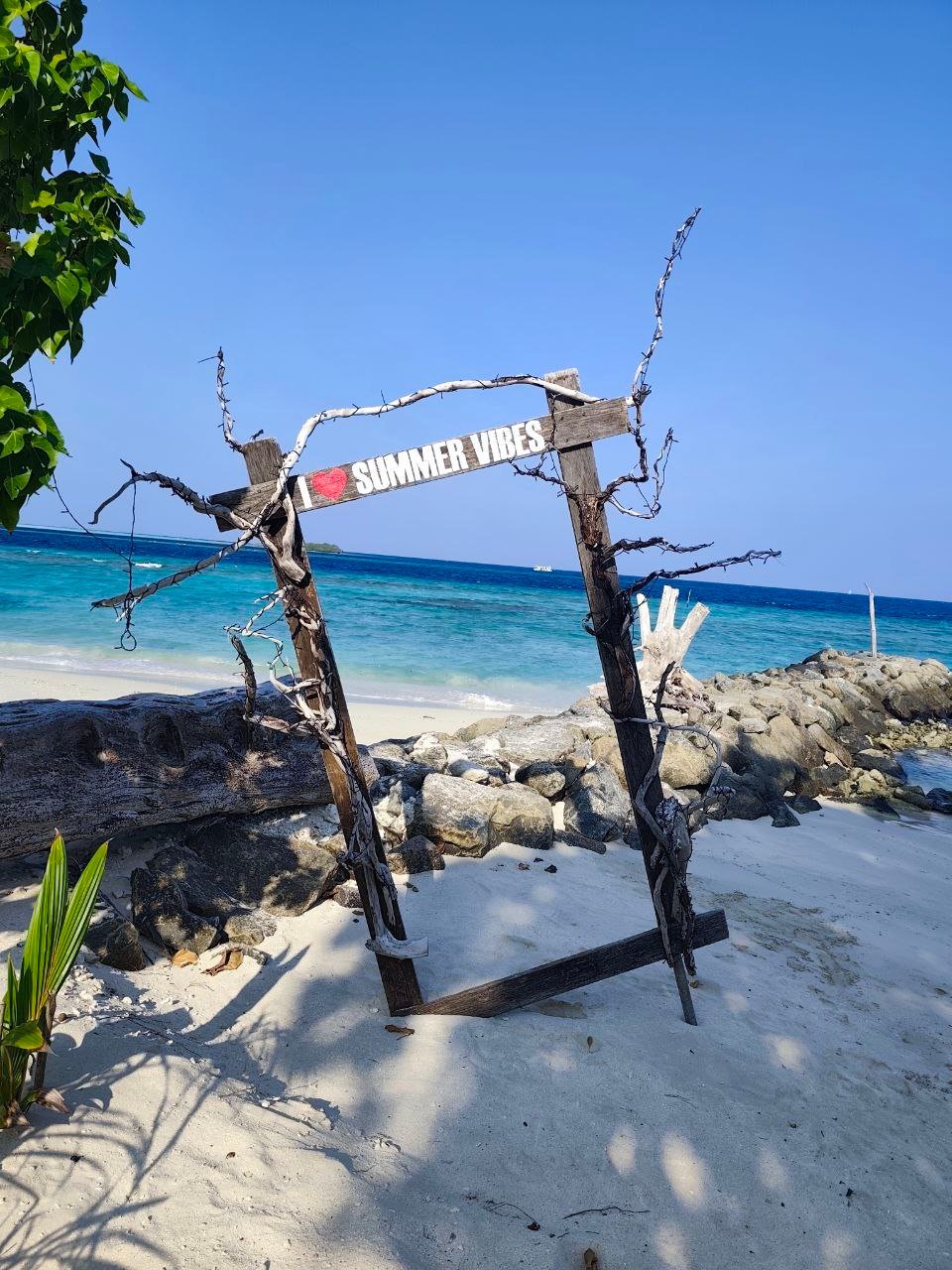 photo_6230733894559318837_y